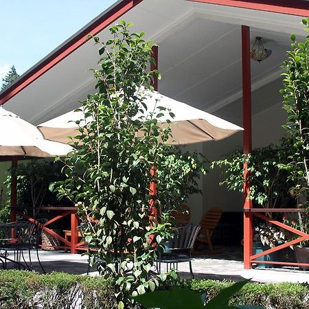 Cielito Sur Bed & Breakfast Inn セロ・プンタ エクステリア 写真