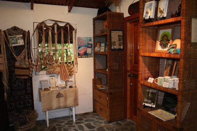 Cielito Sur Bed & Breakfast Inn セロ・プンタ エクステリア 写真
